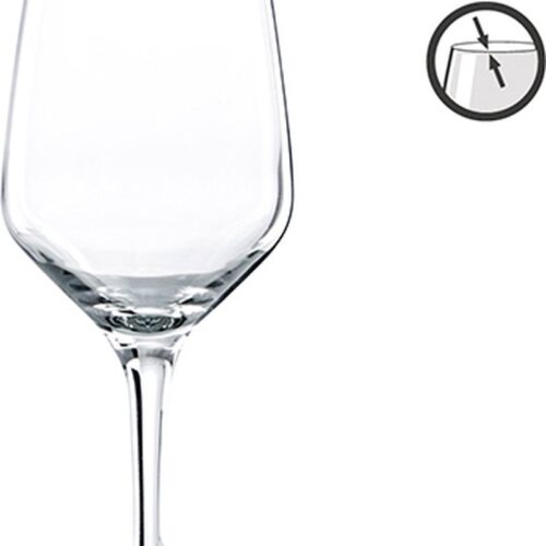 Vicrila Elytium Platine Wijnglas 58cl | Set 6