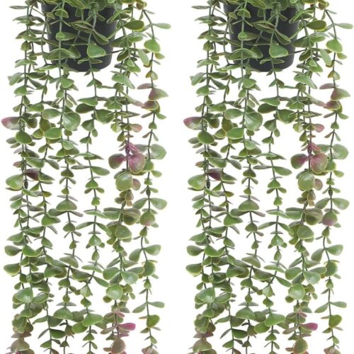 Sapcentrifuge voor Versgeperst Citroensap - Eenvoudig en Praktisch voor Citrusvruchten