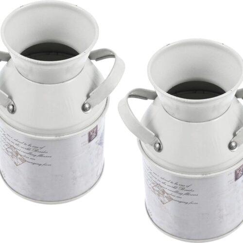 Vintage bloemenvaas, 2 stuks, rustieke melkkan, mini-bloempot, landhuisvaas, metaal, ijzer, emmer voor boerderijdecoratie, balkon, kantoor, bureau, shabby chic, decoratie, woonkamer, tafeldecoratie