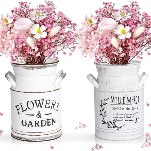 Vintage bloemenvaas, 2 stuks vintage melkkan, bloemenvaas, melkkan, bloempot shabby, decoratieve vaas in landelijke stijl, rustieke vintage bloemenvaas, hartmelkkan voor tuin, tafeldecoratie, woonkamer