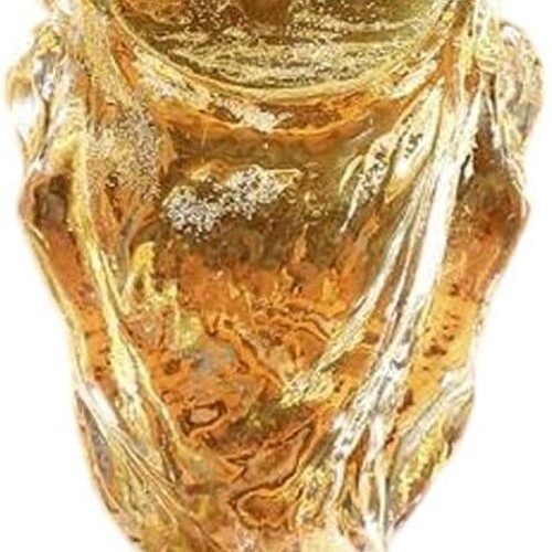 Allecto Plus - Bierglas 350 ml voor voetbal fans | WK bierglas voor familie- en voetbalfeesten