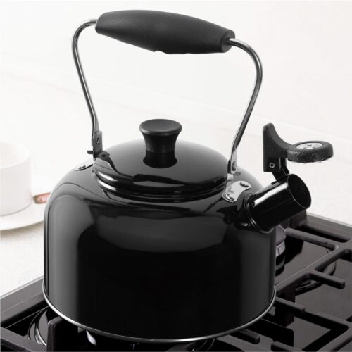 DailySupplies® Fluitketels Voor op Gas - Waterkoker - Heetwaterdispenser - Camping