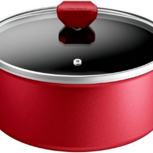 Kookpan Inductie 24 Cm Met Antiaanbaklaag - Temperatuurweergave - Glazen Deksel - Comfortabele Handgreep - Gezonde Maaltijden - Gemaakt In Frankrijk - Daily Expert