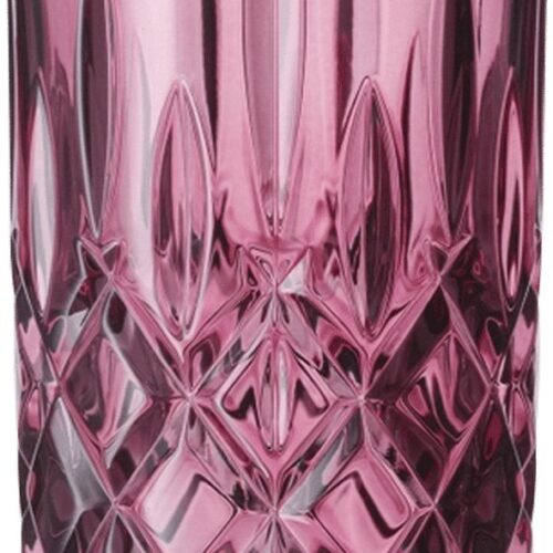 Nachtmann Noblesse Longdrinkglas 39,5 Cl Paars - 2 Stuks
