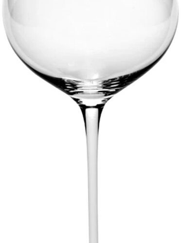 Serax Tomorrowland Unity Dragonfly champagneglas