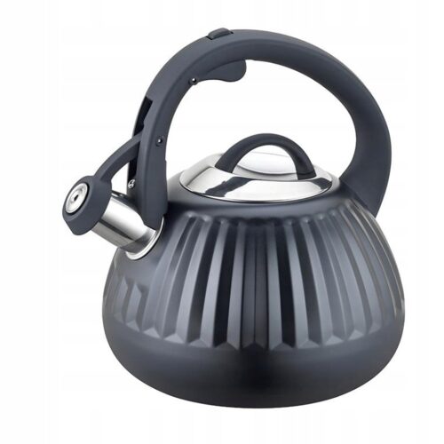 Florina Clint Staubox 2,2L - Stijlvolle roestvrijstalen waterkoker