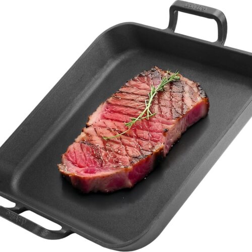 Grillpan, gietijzer, gietijzeren pan met handvat, 31,5 cm braadpan, steakpan voor gasgrill, oven, houtskoolgrill en gaskookplaat, universele BBQ grillschaal voor groenten, vlees en vis