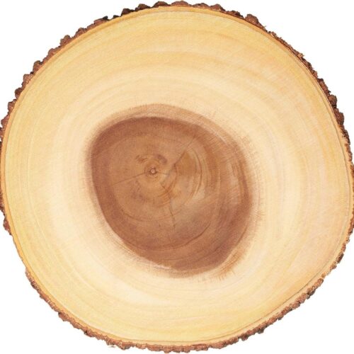 Rustieke Houten Boomstam Serveerplank Kaasplank met Schorsrand 325 x 325 x 23 cm - Handgemaakt Houten Serveerplank