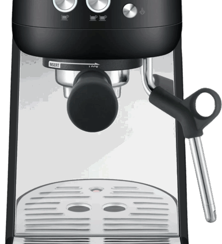 Sage the Bambino Black Truffle