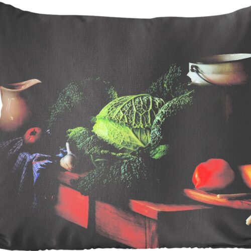 Sierkussens - Kussentjes Woonkamer - 50x50 cm - Stilleven - Kool - Melkkan